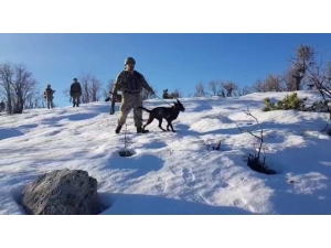 Jandarmanın ’Hassas Burunlu’ Yardımcıları Görev Başında