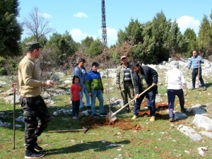Beyşehir’de Mahalleli Gençlerden “Benim De Dikili Bir Fidanım Olsun” Etkinliği