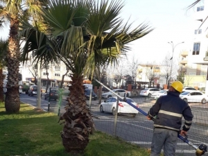 Adıyaman’da Ağaçlara Bahar Bakımı