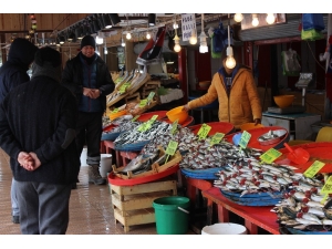 Balık Fiyatları Yüzde 50 Düştü