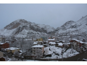 Oltu’ya ’Leylek Kar’ı