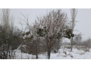 Niğde, Mart Ayında Beyaza Büründü