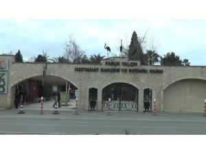 Hayvanat Bahçesi Kapılarını Kapattı