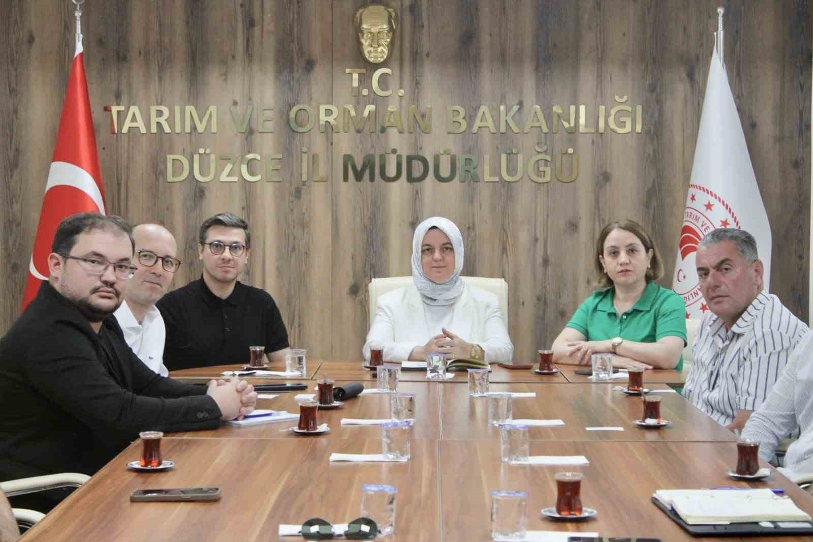 konuralp-pirinci-ve-duzce-kestane-kabagi-market-raflarina-tasiniyor