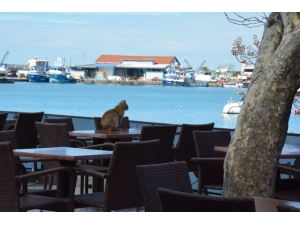 Zabıta, Kapatılacak İşyerlerini Denetledi