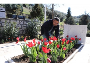 Mudanya’daki Şehit Mezarları Çiçeklendirildi