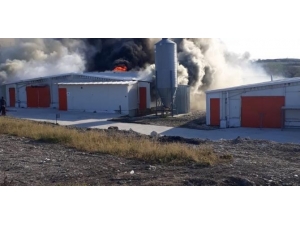 Bursa’da Tavuk Tesisi Alev Alev Yandı...