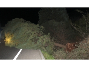 Çevre Yolunda Sürücüler Ölümden Döndü