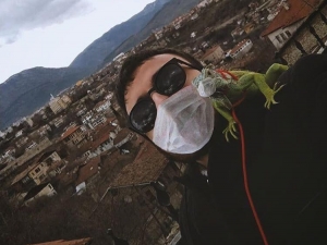 İguanasına Maskeli Korona Önlemi Aldı