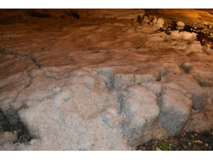 Siverek’te Sel Felaketi... Evler Su Altında Kaldı, Hayvanlar Telef Oldu