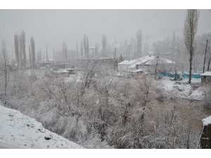 Beytüşşebap’ta Kar Yağışı