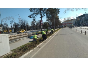 Düzce’de Yeşillendirme Çalışmaları Sürüyor