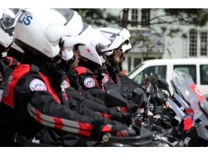 Şehrin Güvenliği Yunuslara Emanet