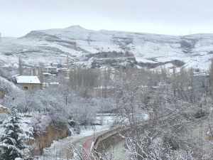 Darende’de Çiçek Açan Kayısı Kara Gömüldü