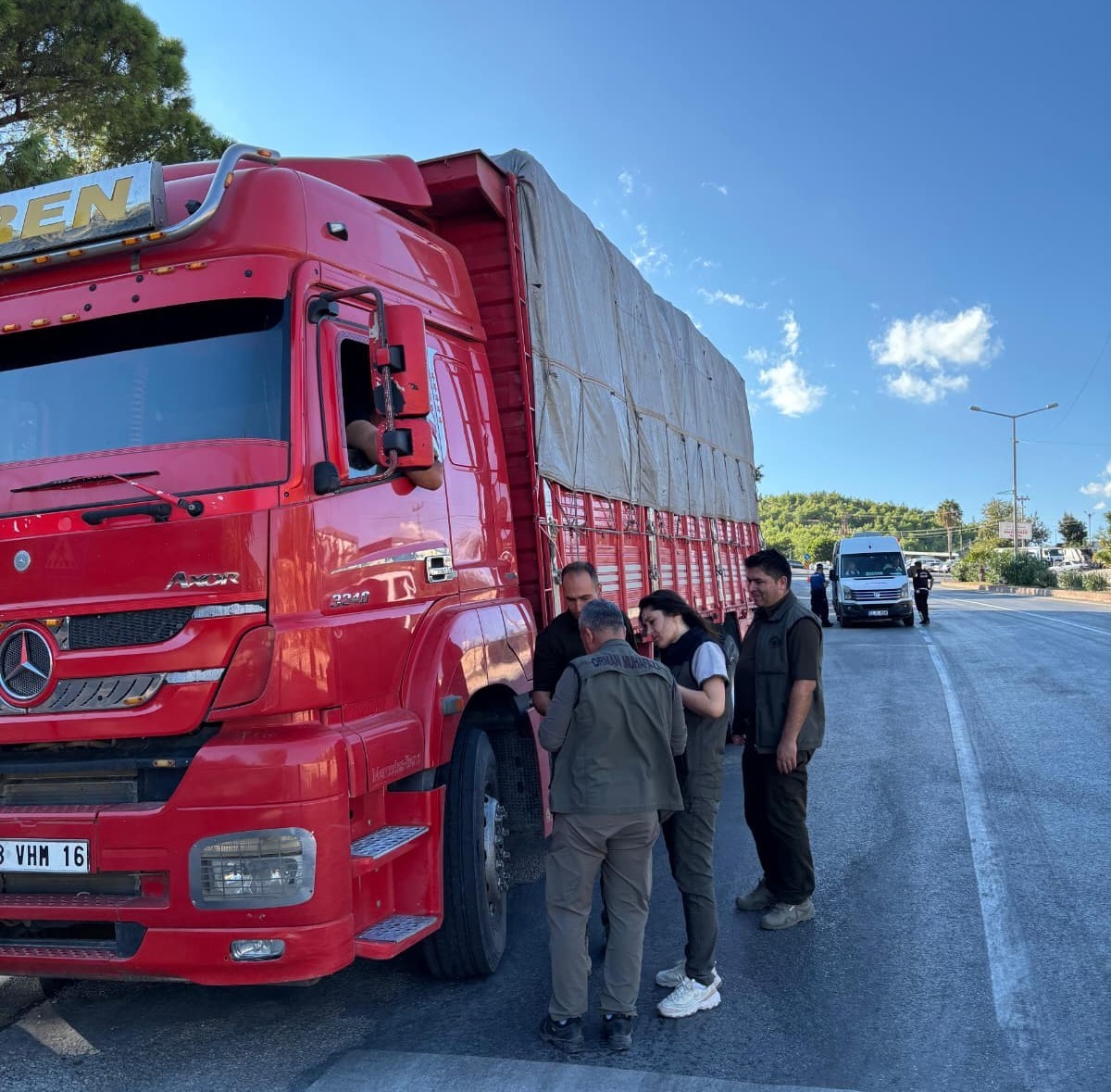 mersin-de-orman-suclarina-karsi-yol-kontrolu