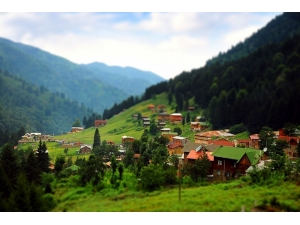 Doğu Karadeniz’de ‘Biyokaçakçılık’ Uyarısı