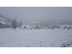 Doğuda Tipi Köy Yollarını Ulaşıma Kapattı