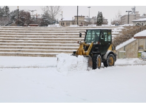 Sivas’ta, Mart Karıyla Mücadele