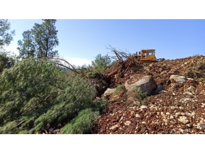 Orman Envanterlerine Zarar Verdiği İddia Edilen 3 Kişi Savcılığa Sevk Edildi