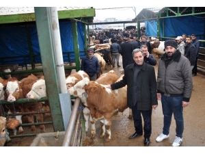 Malatya Hayvan Pazarı Kapatıldı