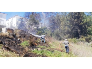 Manavgat’ta Korkutan Yangın