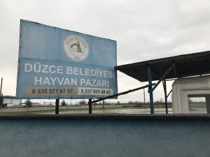Hayvan Pazarı Korona Virüsü Nedeniyle Kapatıldı