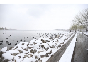 Başkent’te Korona Virüs Tatilindeki Çocuklar Kartopu Oynadı