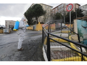 Akşemsettin, Topçular Ve Göktürk Mahallesi İlaçlandı