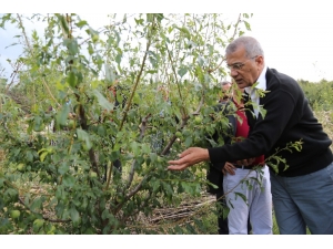 Tarhan, Afetzede Üreticiler İçin Destek İstedi