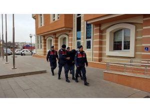 Kastamonu’da Pkk/kck Üyesi Gözaltına Alındı