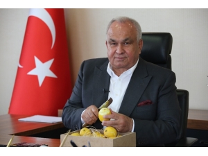 Başkan Tollu’dan ’Limon Tüketin’ Çağrısı