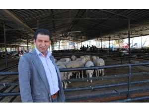 Aydın İl Genelinde Hayvan Pazarları Kapatıldı