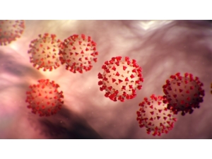 Koronavirüs Bir Rekora Daha İmza Attı