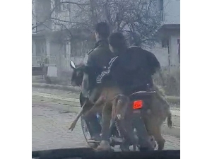 Motosiklette 2 Keçi, 2 İnsan