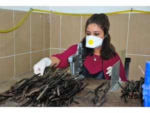 Koronavirüs İşlerine Engel Olmadı