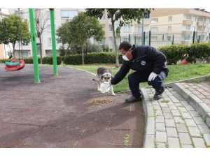 Mudanya’da Sokak Hayvanları Sahipsiz Değil