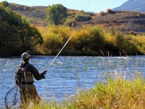 Sazangiller, Kadife, Şiraz Ve Yayın Balığı Avlamak Yasak