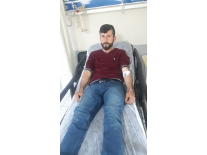 Elektrik Akımına Kapılan Koyununu Kurtarmaya Çalışırken Akıma Kapılarak Yaralandı