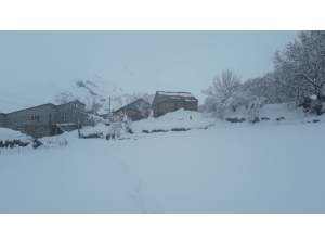 Batman’da Kar Yağışı Hayatı Olumsuz Etkiledi