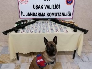 Uşak’ta 616 Adet Uyuşturucu Hap Ele Geçirildi