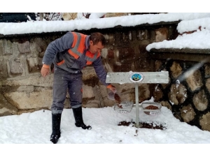Ürgüp Belediyesi Karlı Havada Sokak Hayvanlarını Unutmadı