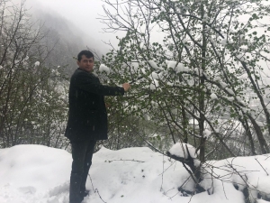 Fındık Üreticileri Zirai Dona Karşı Uyarıldı