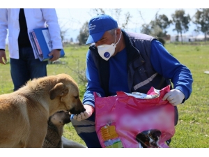 Aydın Büyükşehir Belediyesi Can Dostları Unutmadı