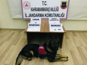Kahramanmaraş’ta Uyuşturucu Operasyonu: 13 Gözaltı