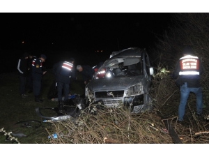 Samsun’da Ticari Araç Ağaca Çarptı: 1 Ölü, 2 Yaralı