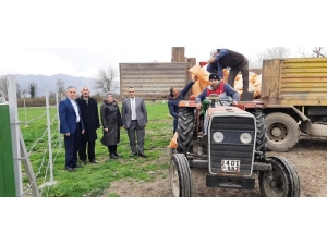 Düzce’de Meraların Ot Verimini Arttırılıyor