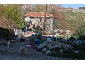 Çöp Ev Temizlenmeyi Bekliyor