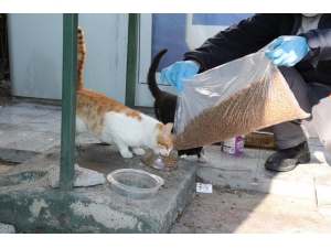 Gaziemir’de Can Dostlara Mama Ve Su Desteği