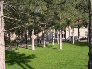 Korona Virüs İçin Sosyal Medya Uyarısı