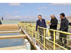 Su’da Tasarruf Dönemi